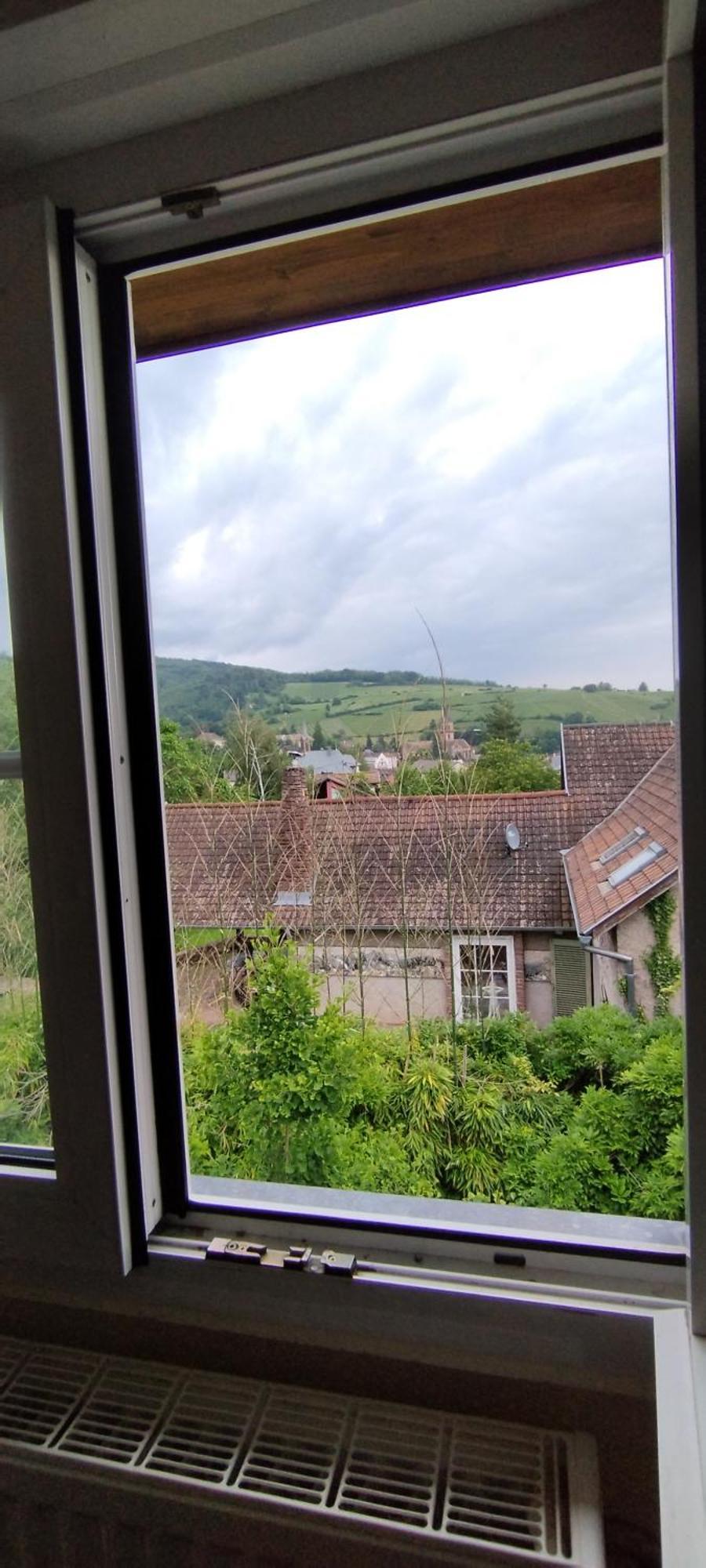 La Ferme Des Perles Noires Hotel Ribeauvillé Buitenkant foto