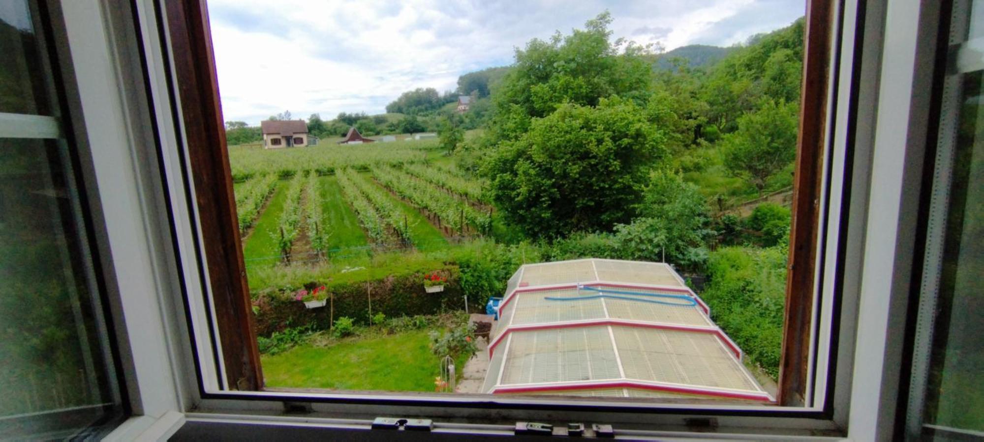 La Ferme Des Perles Noires Hotel Ribeauvillé Buitenkant foto